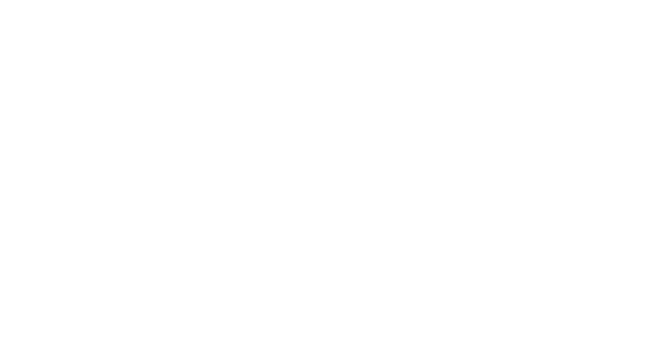 WHITEDONKEYOLIVE OIL